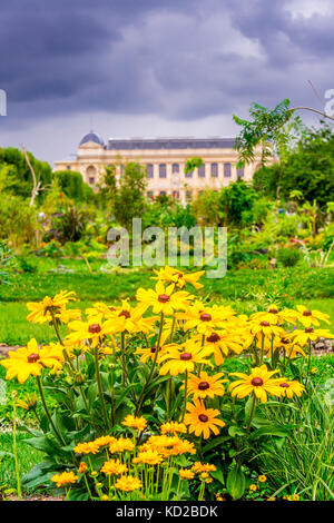 Jardin des plantes avec la Grande Galerie de lEvolution en arrière-plan à Paris, France Banque D'Images