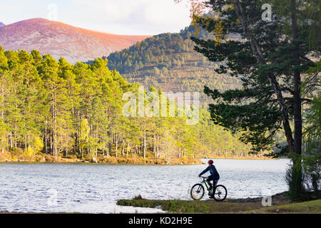 UK, Cairngorms. Un jour chaud et ensoleillé dans le Parc National de Cairngorms dans les montagnes de l'Ecosse comme ce garçon a découvert le vélo autour de Loch an Eilein sur le domaine de Rothiemurchus et forêt en fin d'après-midi soleil Banque D'Images