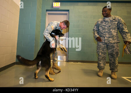 La CPS de l'armée américaine. brandon Meyer, un maître-chien militaire avec le 17e Détachement de la police militaire de Fort Jackson, accueille Segal, son chien de travail, à la suite d'une cérémonie de fin de cours de dirigeants le guerrier à l'mccrady centre de formation, eastover, s.c., 24 avril 2015. Meyer était l'un des 130 soldats qui est diplômé de la 3 semaines Cours wlc hébergé par 3e bataillon, sous-officiers academy sur mccrady. Meyer a été réuni avec sa femme ashley et leur fils aidan après la cérémonie, et Segal a été apporté par les membres de son unité. (Photo de la garde nationale américaine par tech. sgt. Jorge int Banque D'Images