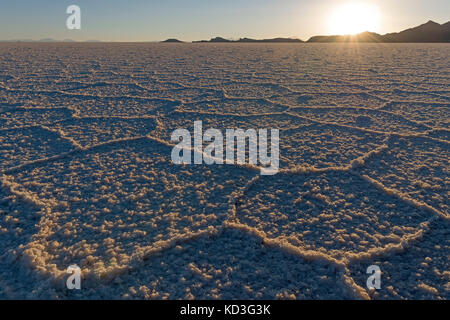 Soirée chaleureuse avec structure de sel, Salar de Uyuni, altiplano, 3670 m au-dessus du niveau de la mer, la bolivie Banque D'Images