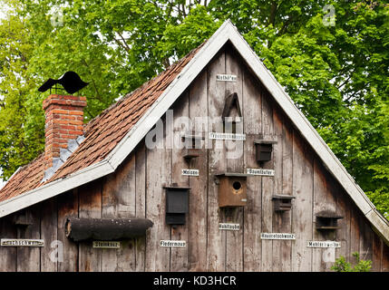 Diverses aides de nidification à gable, quellengrundpark, weseke, borken, münsterland, Rhénanie du Nord-Westphalie, Allemagne Banque D'Images