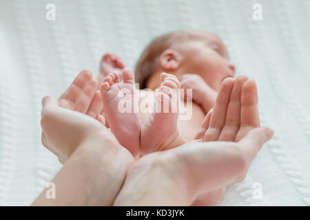 Baby hands Banque D'Images