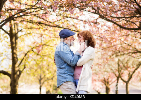 Beau couple amoureux sur une promenade à l'extérieur dans la nature printemps sous les arbres en fleurs. Banque D'Images