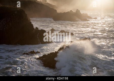 L'océan pacifique s'écrase contre la côte rocheuse à Sonoma, en Californie. La célèbre highway 1 courir le long de cette belle et solide rivage. Banque D'Images