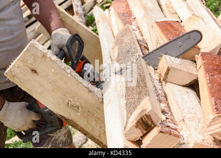 L'homme de bois scies scies à chaîne avec orange Banque D'Images