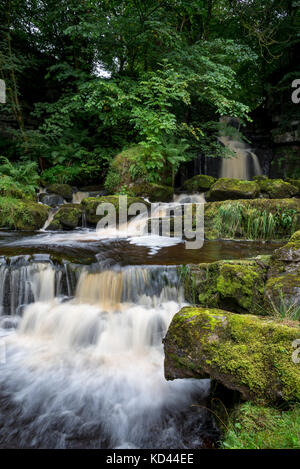 Maison de cicatrice falls près de mickfield, swaledale, North Yorkshire, Angleterre. Banque D'Images