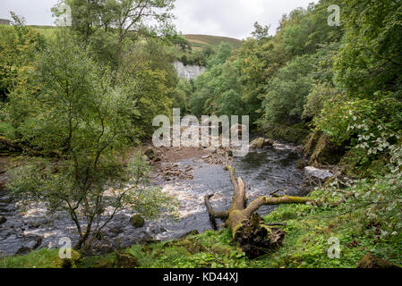 La rivière swale près de keld dans la région de swaledale, North Yorkshire, Angleterre. Banque D'Images