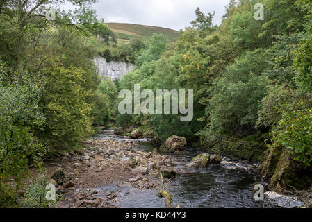 La rivière swale près de keld dans la région de swaledale, North Yorkshire, Angleterre. Banque D'Images