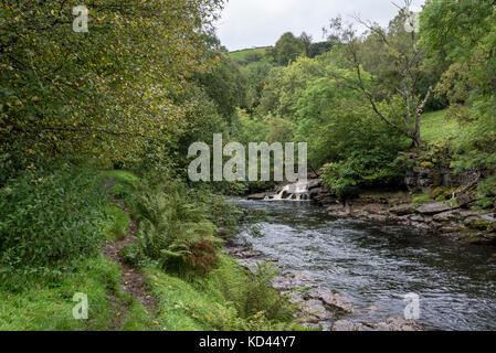 La rivière swale près de keld dans la région de swaledale, North Yorkshire, Angleterre. Banque D'Images