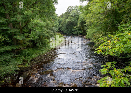 La rivière Swale près de Keld dans la région de Swaledale, North Yorkshire, Angleterre. Banque D'Images