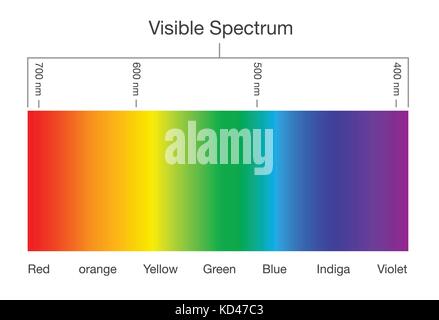 Tableau des couleurs du spectre visible. Illustration de Vecteur