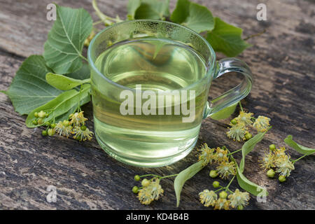 Lindenblüten-Tee, Tee aus Lindenblüten, Kräutertee, Heiltee, Blütentee, Linde, Lindenblüte, Holländische Linde, Hybridlinde, Hybrid-Linde, Tilia x eur Banque D'Images