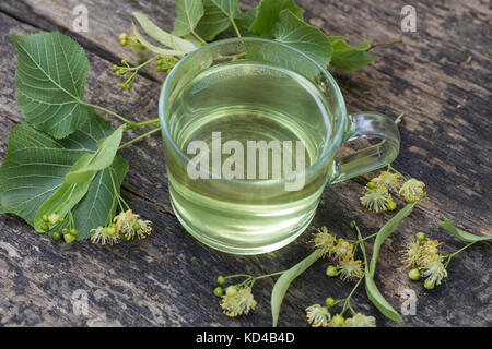 Lindenblüten-Tee, Tee aus Lindenblüten, Kräutertee, Heiltee, Blütentee, Linde, Lindenblüte, Holländische Linde, Hybridlinde, Hybrid-Linde, Tilia x eur Banque D'Images