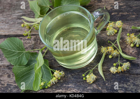 Lindenblüten-Tee, Tee aus Lindenblüten, Kräutertee, Heiltee, Blütentee, Linde, Lindenblüte, Holländische Linde, Hybridlinde, Hybrid-Linde, Tilia x eur Banque D'Images