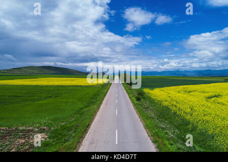 Vue aérienne sur le champs agricoles. Banque D'Images