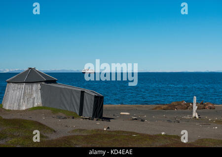 La Norvège, Svalbard, au sud de la réserve naturelle de Svalbard, edgeoya, kapp lee. ancien chalet des trappeurs sur la plage près de petit groupe de morses sur beach Banque D'Images