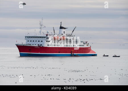 Norvège, Svalbard, Spitsbergen, Parc National Du Nordvest-Spitsbergen, Alkefjellet. Navire d'expédition, L'expédition près des falaises d'oiseaux. Banque D'Images