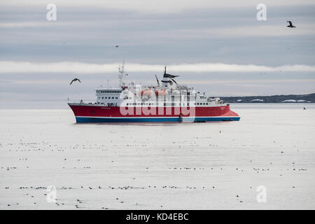 Norvège, Svalbard, Spitsbergen, Parc National Du Nordvest-Spitsbergen, Alkefjellet. Navire d'expédition, L'expédition près des falaises d'oiseaux. Banque D'Images