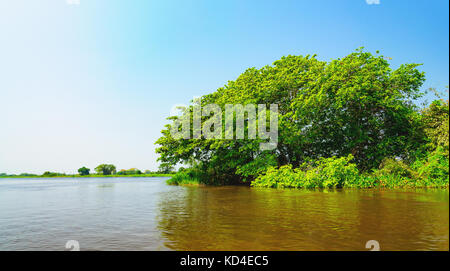 Paysage avec la rivière et de la végétation verte d'arbres et de plantes sur les berges de la rivière. Beau ciel bleu clair et l'eau de la rivière. Photo prise Banque D'Images