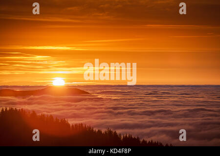 Lever de soleil au-dessus des nuages dans la montagne. vue aérienne sur la vallée brumeuse et matin brumeux. Banque D'Images