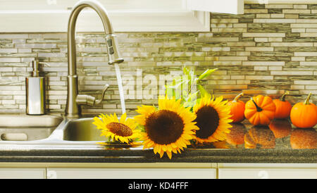 Tournesols dans un évier de cuisine Banque D'Images