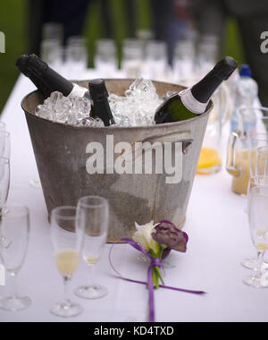 Buck et verres de glace avec fizz Banque D'Images