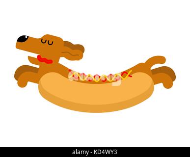 Hot dog dachshund. animal de hotdog. vector illustration Illustration de Vecteur