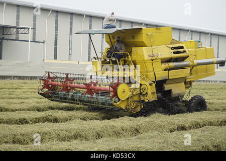 Le tracteur laboure rizière à Sekinchan, Selangor, Malaisie Banque D'Images