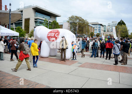 Des militants et des manifestants de l'environnement se réunissent lors d'une manifestation environnementale pacifique en plein air à Victoria, en Colombie-Britannique, au Canada. Banque D'Images