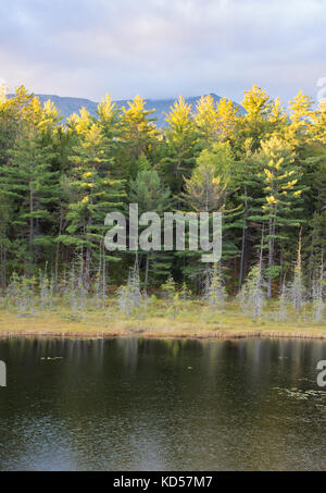 Un étang dans Baxter State Park dans le Maine avec soleil, arbres en arrière-plan et un ciel couvert ci-dessus. photographié au coucher du soleil. Banque D'Images