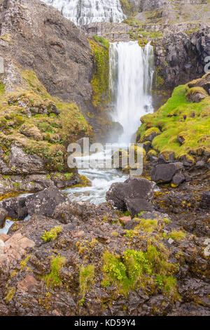 Vue sur rivière rapide avec cascades - Islande, westfjords. Banque D'Images