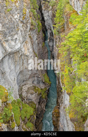 Le canyon Marble falls, parc national de Kootenay en Colombie-Britannique, Canada Banque D'Images