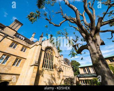 Chapelle Wadham , Wadham College, Oxford, Oxfordshire, England, UK, FR. Banque D'Images