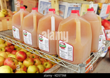 Cidre de pomme frais vendu avec des pommes fraîches à l'extérieur du marché West Side de Cleveland, Ohio, à l'automne 2017. Banque D'Images