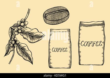 Illustration de l'arbre du café. Illustration de Vecteur