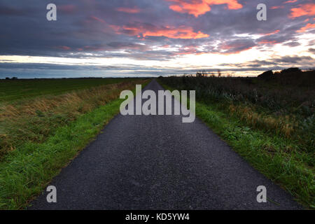 Une route disparaissant dans la distance au coucher du soleil sur les champs de l'lincolnshire fens dans en automne. fenland Banque D'Images