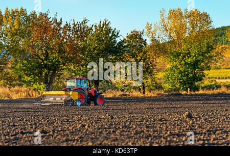 Agriculteur avec tracteur - semis semer les cultures aux champs agricoles en automne. Banque D'Images