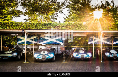 La gamme Ecurie Ecosse de voitures Jaguar C et d type des années 1950 dans le paddock au Goodwood Revival 2017, Sussex, Royaume-Uni. Banque D'Images