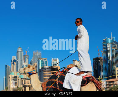 DUBAÏ, Émirats arabes Unis - 11 NOVEMBRE 2013 : immeubles de grande hauteur et homme arabe assis sur un chameau Banque D'Images