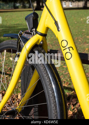 Location de voitures OFO jaune ou un vélo appuyé contre une rambarde dans un parc à Cambridge UK Banque D'Images