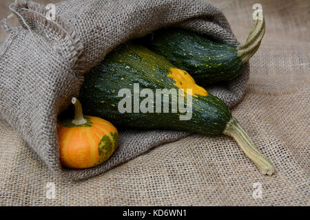 Petit ornement orange gourd avec deux grandes courges verruqueuse vert dans un sac en toile de jute Banque D'Images