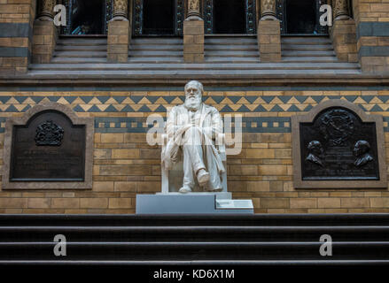 Charles Darwin, historique de l'époque victorienne (1885), statue en marbre, sur l'atterrissage dans le hall principal de la Natural History Museum, Londres, Angleterre, Royaume-Uni. Banque D'Images