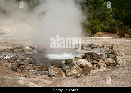 Sources thermales de fumerolles sur l'île de Sao Miguel, Açores Banque D'Images