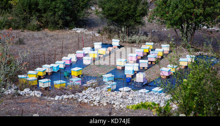 Ruches peint de couleurs vives, dans une enceinte clôturée sur l'île rocheuse d'Ithaque dans les îles ioniennes de la Grèce Banque D'Images