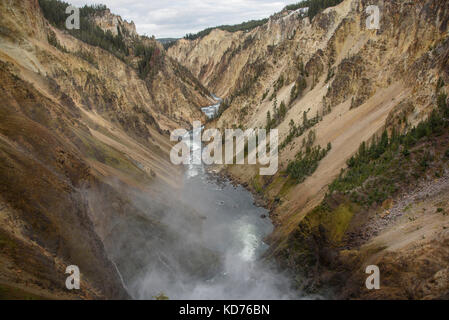 Grand canyon de la Yellowstone Parc national de Yellowstone Banque D'Images