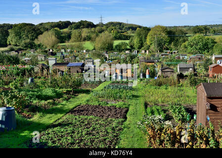 Allotissement anglais typique avec jardins potager, abris de jardin et la culture des fleurs en ville de Thornbury, Rhône-Alpes Banque D'Images