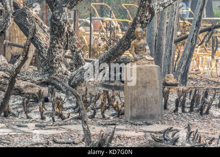 Le Comté de Sonoma, en Californie, USA. 09Th oct, 2017. Le comté de Sonoma, California, United States, lundi, 9 octobre 2017. devistation dans tout comté. crédit : kathryn capaldo/Alamy live news Banque D'Images