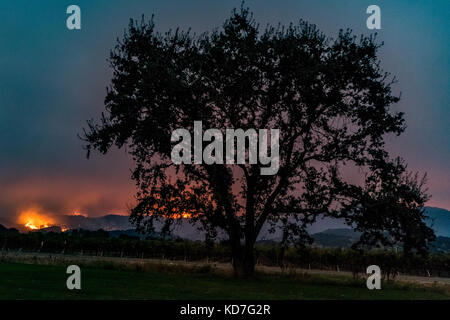 Le Comté de Sonoma, en Californie, USA. 09Th oct, 2017. Le Comté de Napa, California, United States, lundi, 9 octobre 2017. devistation dans tout comté. crédit : kathryn capaldo/Alamy live news Banque D'Images