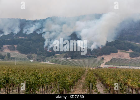 Le Comté de Sonoma, en Californie, USA. 09Th oct, 2017. Le Comté de Napa, California, United States, lundi, 9 octobre 2017. devistation dans tout comté. crédit : kathryn capaldo/Alamy live news Banque D'Images