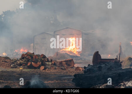 Le Comté de Sonoma, en Californie, USA. 09Th oct, 2017. Le comté de Sonoma, California, United States, lundi, 9 octobre 2017. devistation dans tout comté. crédit : kathryn capaldo/Alamy live news Banque D'Images